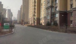 开源嘉苑爆料案件真相视频,揭秘真相背后的惊人内幕