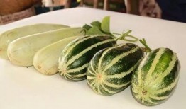 网红吃瓜风格是否独特,揭秘网红吃瓜界的独特风格达人